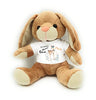 kila-hase-rehkitz-willk