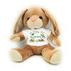 kila-hase-dino-01